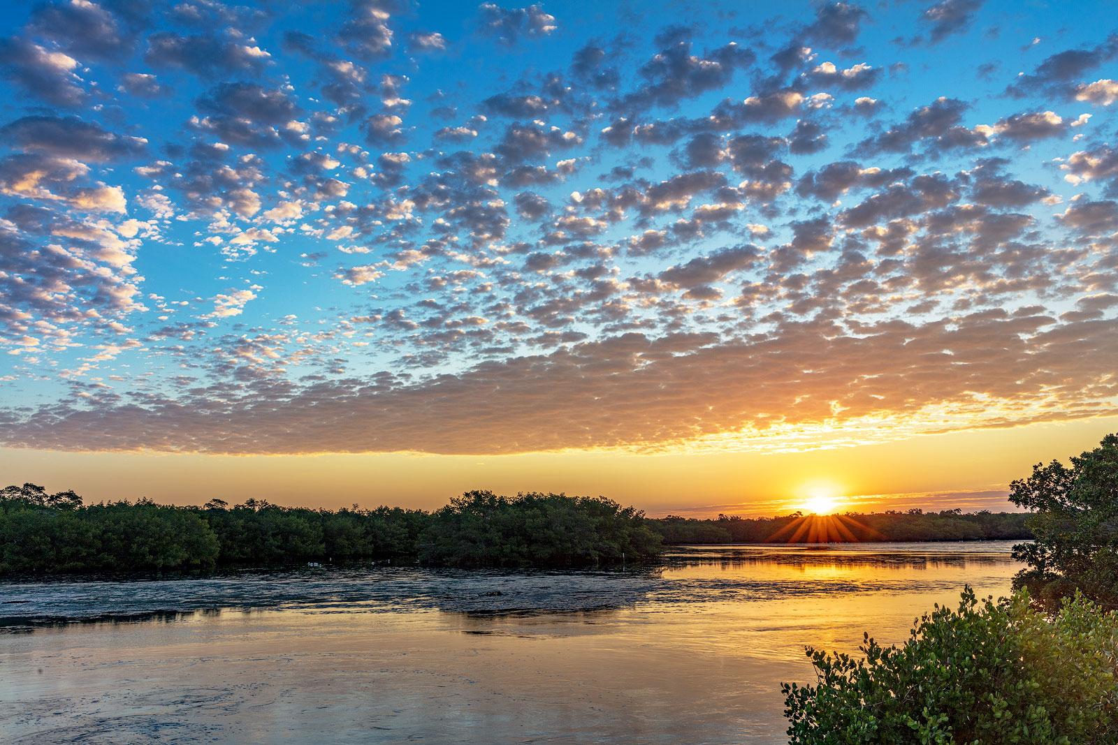 South Florida Everglades and Birds Photography Workshop - Chuck Haney ...